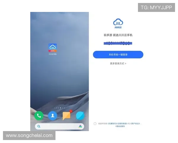 最新开云KY手机版会员登录方法，轻松解决登录中遇到的常见问题