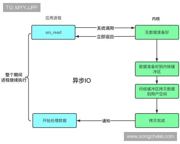 问鼎官网入口注册流程详细解析,帮助新用户顺利完成账号创建与激活步骤 问鼎官网入口注册流程详细解析,帮助新用户顺利完成账号创建与激活步骤
