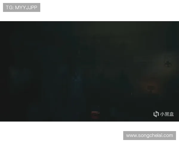 问鼎平台登录流程详解助你快速顺利进入平台操作指南