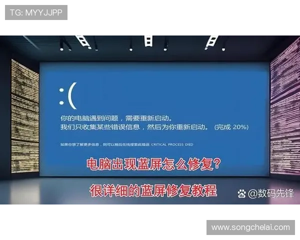 问鼎登录中心提升账号安全的实用措施与常见登录问题的解决方案
