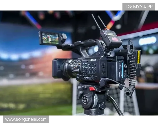 问鼎真人视讯打造全方位的娱乐生态系统，满足玩家多样化的娱乐需求