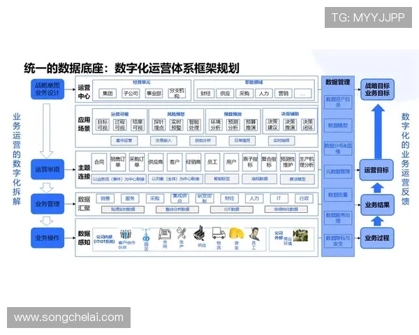 问鼎集团官网：推动数字化转型的重要举措与技术应用方案
